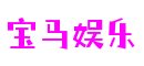 四川省绵阳市宝马娱乐智控科技有限公司